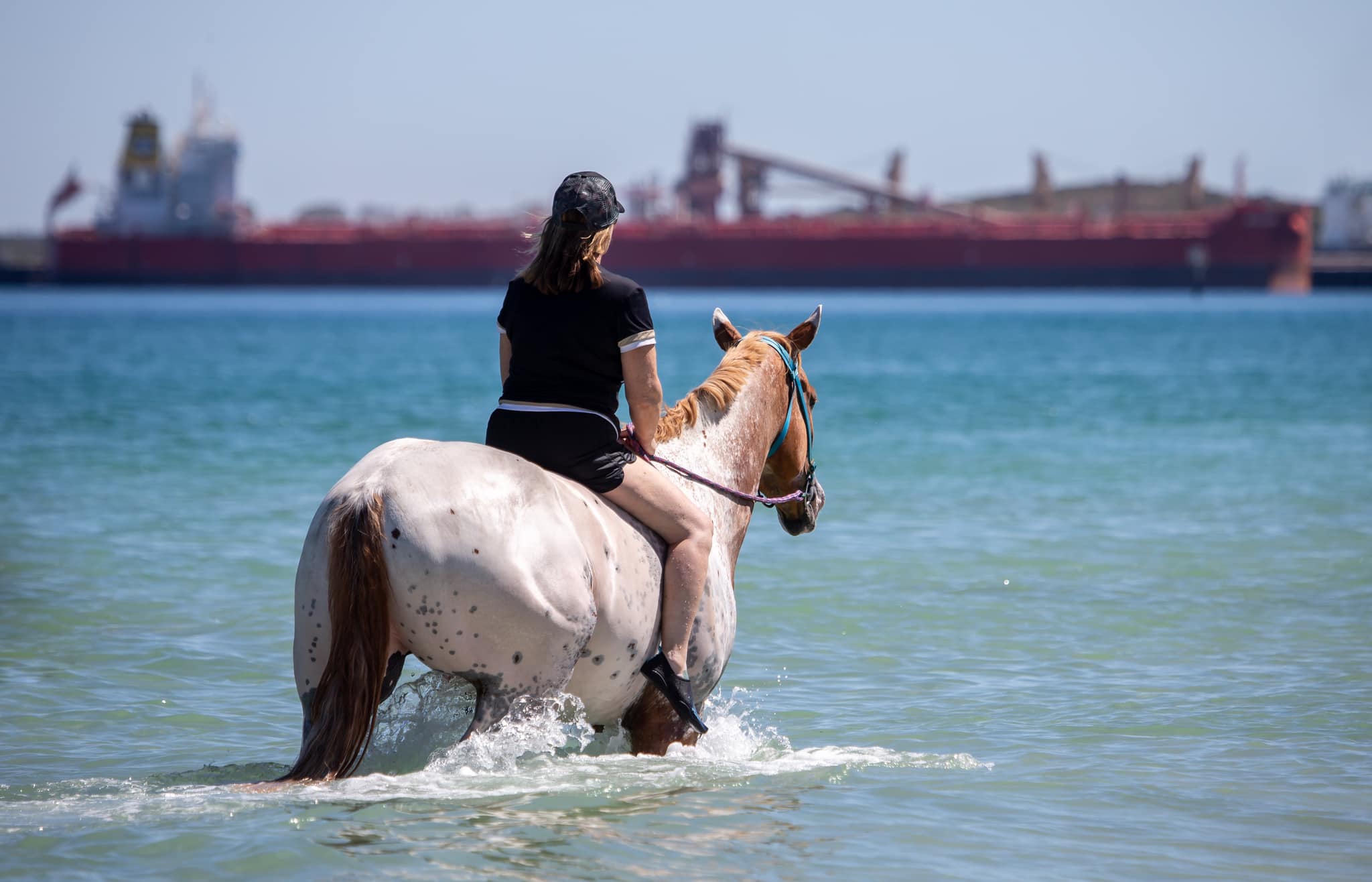 A person riding a horse in the water

Description automatically generated